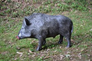 Wildschwein zum 3D-Schießen